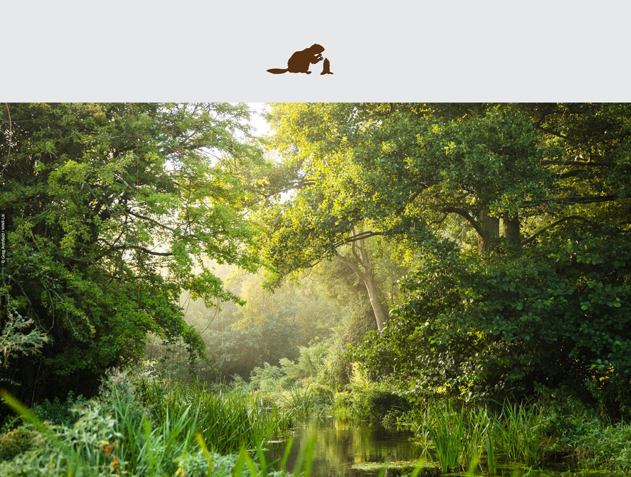 Early morning sunlight breaks through tree canopy on the river Nar, near Castle Acre, Norfolk, UK.